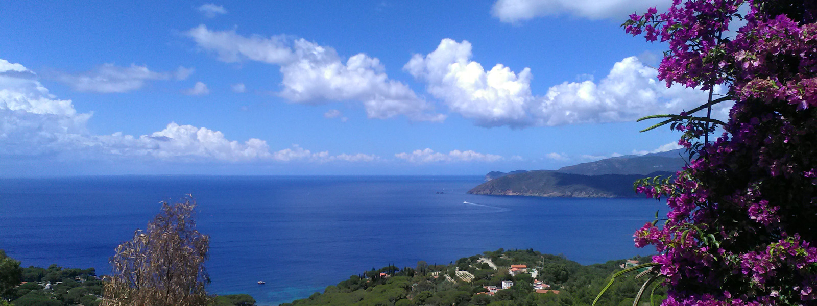 I vini dell’Isola d’Elba I vini dell’Isola d’Elba
