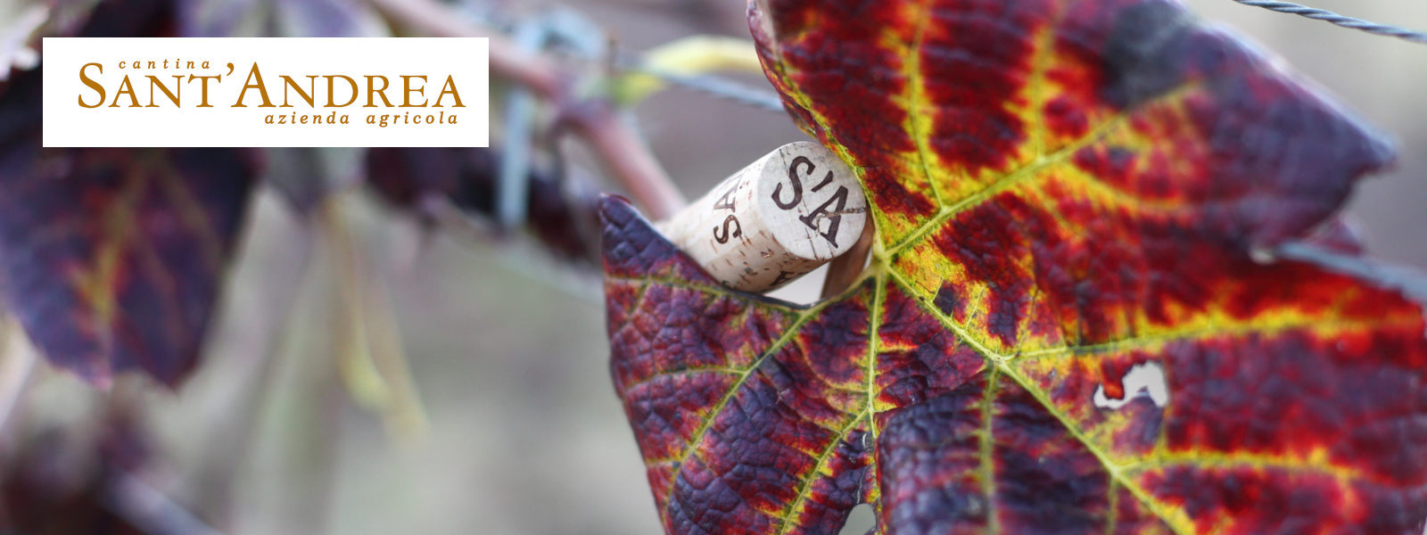 Cantina Sant’Andrea Cantina Sant’Andrea